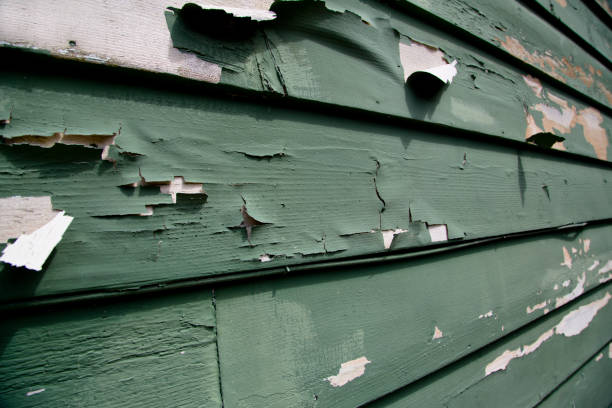 Best Recycling Services for Junk  in Newman, CA